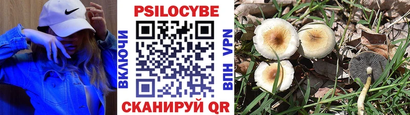 Купить закладки  Суровикино  Псилоцибиновые грибы мухоморы 